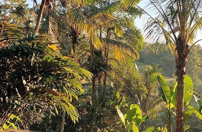 Séjour à la campagne Saridevi *